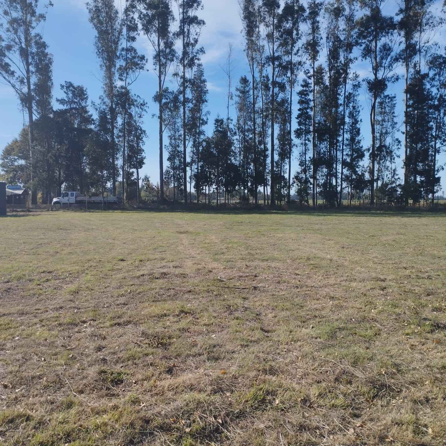 venta de parcela en Freire